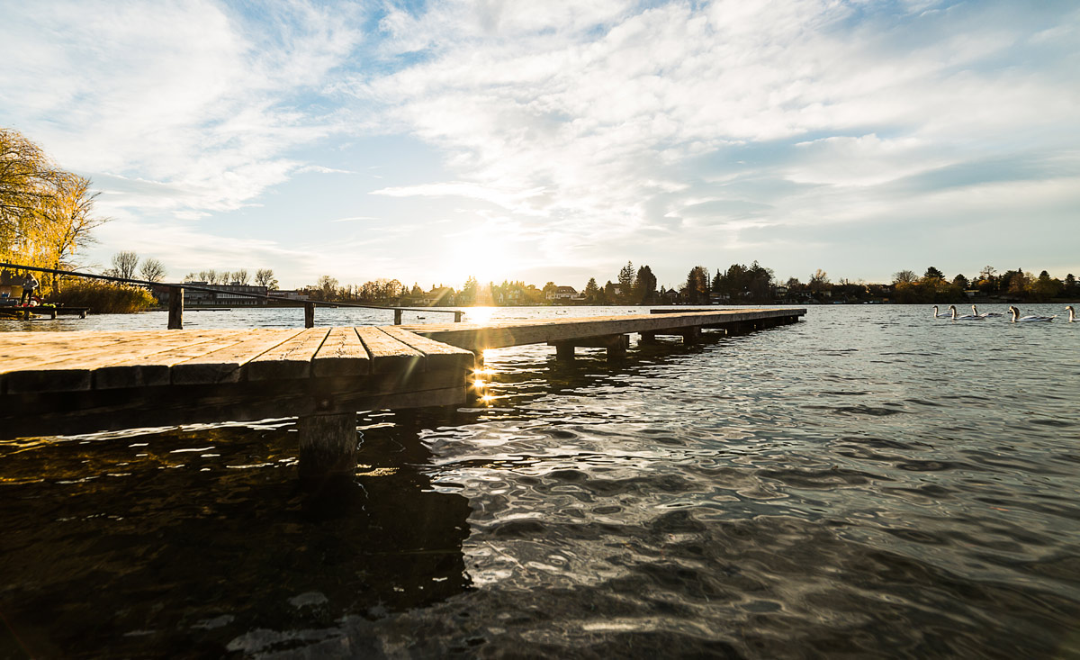 Der Neufelder See Badeurlaub im Burgenland in Österreich