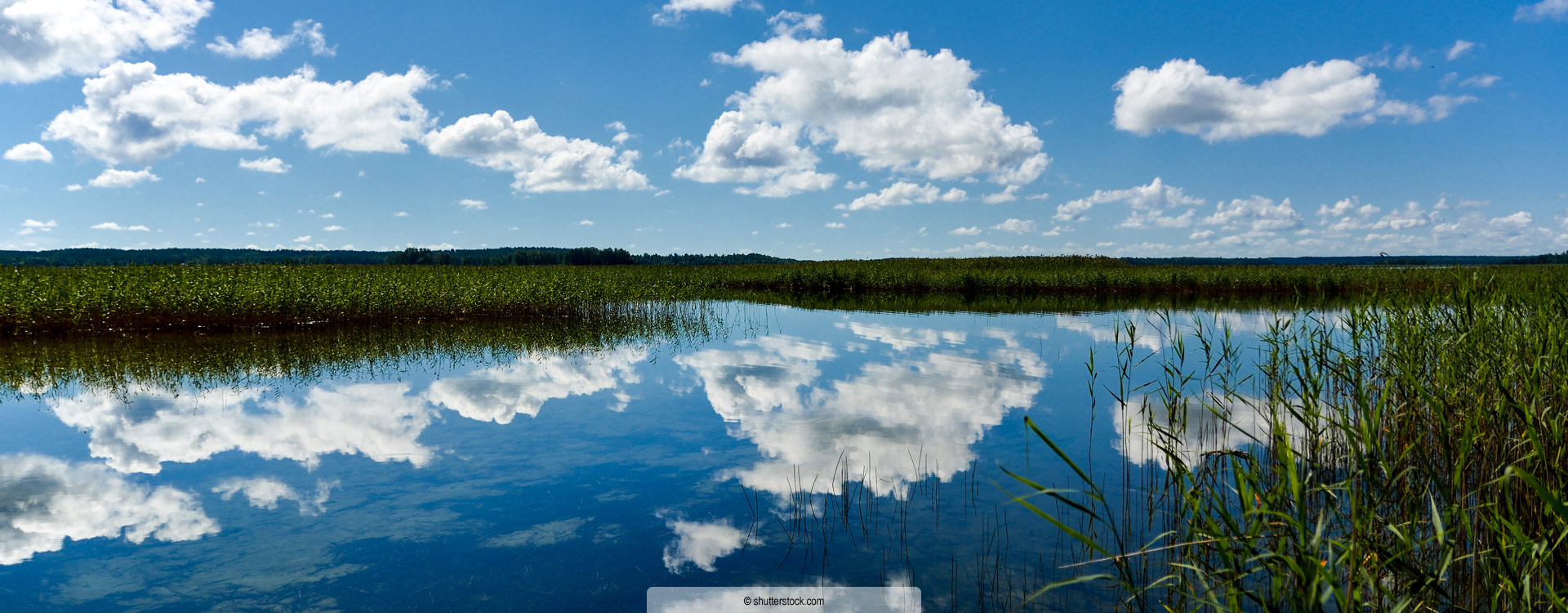 Urlaub am Mattsee